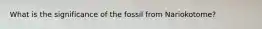 What is the significance of the fossil from Nariokotome?