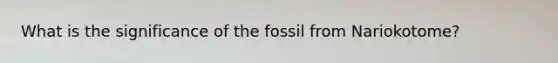 What is the significance of the fossil from Nariokotome?