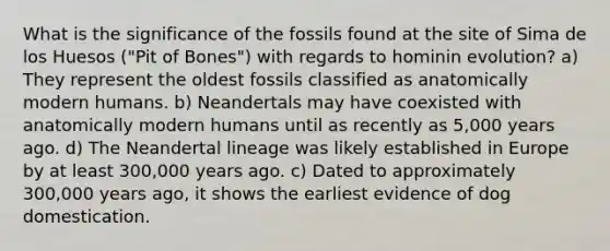 What is the significance of the fossils found at the site of Sima de los Huesos ("Pit of Bones") with regards to hominin evolution? a) They represent the oldest fossils classified as anatomically modern humans. b) Neandertals may have coexisted with anatomically modern humans until as recently as 5,000 years ago. d) The Neandertal lineage was likely established in Europe by at least 300,000 years ago. c) Dated to approximately 300,000 years ago, it shows the earliest evidence of dog domestication.