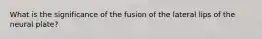 What is the significance of the fusion of the lateral lips of the neural plate?