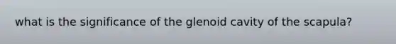 what is the significance of the glenoid cavity of the scapula?