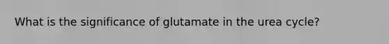 What is the significance of glutamate in the urea cycle?