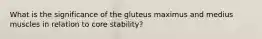 What is the significance of the gluteus maximus and medius muscles in relation to core stability?