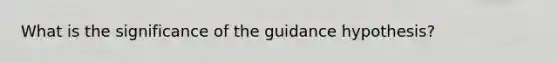 What is the significance of the guidance hypothesis?