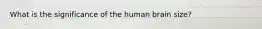 What is the significance of the human brain size?