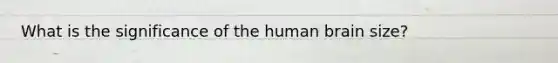 What is the significance of the human brain size?