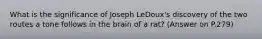 What is the significance of Joseph LeDoux's discovery of the two routes a tone follows in the brain of a rat? (Answer on P.279)