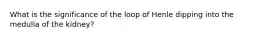 What is the significance of the loop of Henle dipping into the medulla of the kidney?