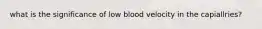 what is the significance of low blood velocity in the capiallries?