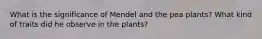 What is the significance of Mendel and the pea plants? What kind of traits did he observe in the plants?