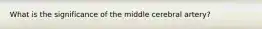 What is the significance of the middle cerebral artery?