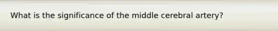 What is the significance of the middle cerebral artery?