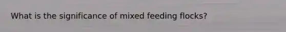 What is the significance of mixed feeding flocks?