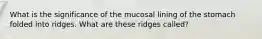 What is the significance of the mucosal lining of the stomach folded into ridges. What are these ridges called?