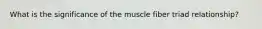 What is the significance of the muscle fiber triad relationship?