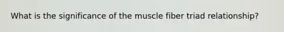 What is the significance of the muscle fiber triad relationship?