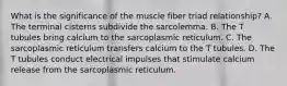 What is the significance of the muscle fiber triad relationship? A. The terminal cisterns subdivide the sarcolemma. B. The T tubules bring calcium to the sarcoplasmic reticulum. C. The sarcoplasmic reticulum transfers calcium to the T tubules. D. The T tubules conduct electrical impulses that stimulate calcium release from the sarcoplasmic reticulum.