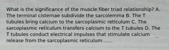 What is the significance of the muscle fiber triad relationship? A. The terminal cisternae subdivide the sarcolemma B. The T tubules bring calcium to the sarcoplasmic reticulum C. The sarcoplasmic reticulum transfers calcium to the T tubules D. The T tubules conduct electrical impulses that stimulate calcium release from the sarcoplasmic reticulum