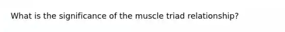 What is the significance of the muscle triad relationship?