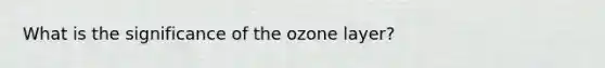 What is the significance of the ozone layer?