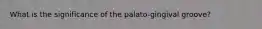 What is the significance of the palato-gingival groove?