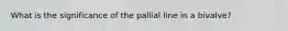 What is the significance of the pallial line in a bivalve?