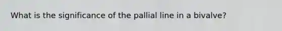 What is the significance of the pallial line in a bivalve?