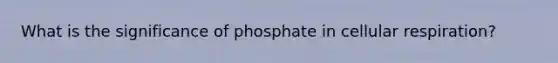 What is the significance of phosphate in cellular respiration?