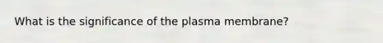 What is the significance of the plasma membrane?