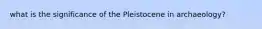 what is the significance of the Pleistocene in archaeology?