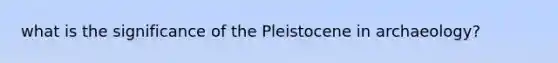 what is the significance of the Pleistocene in archaeology?