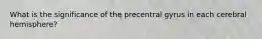 What is the significance of the precentral gyrus in each cerebral hemisphere?