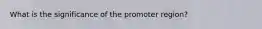 What is the significance of the promoter region?