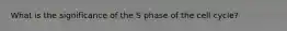 What is the significance of the S phase of the cell cycle?