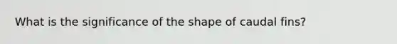 What is the significance of the shape of caudal fins?