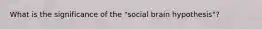 What is the significance of the "social brain hypothesis"?