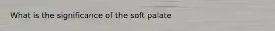 What is the significance of the soft palate