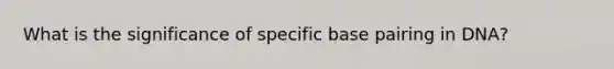 What is the significance of specific base pairing in DNA?