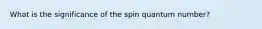 What is the significance of the spin quantum number?