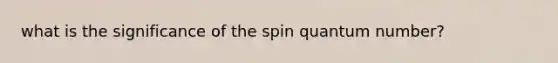 what is the significance of the spin quantum number?