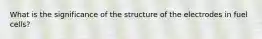 What is the significance of the structure of the electrodes in fuel cells?