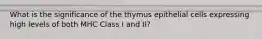 What is the significance of the thymus epithelial cells expressing high levels of both MHC Class I and II?