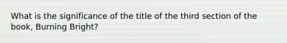 What is the significance of the title of the third section of the book, Burning Bright?