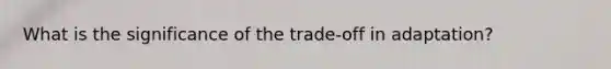 What is the significance of the trade-off in adaptation?