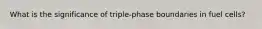 What is the significance of triple-phase boundaries in fuel cells?