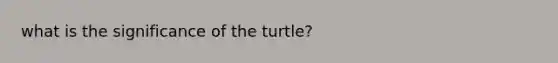 what is the significance of the turtle?