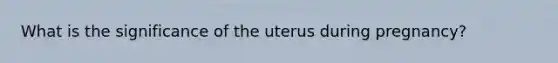 What is the significance of the uterus during pregnancy?