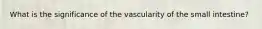What is the significance of the vascularity of the small intestine?