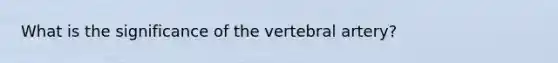 What is the significance of the vertebral artery?