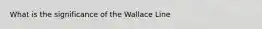 What is the significance of the Wallace Line